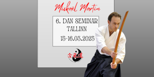 Mickael Martin seminar image