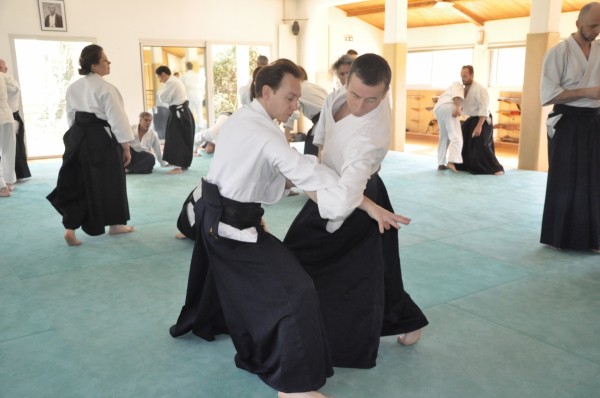 2017 Vinge nädal Shumeikan dojo's prantsusmaal